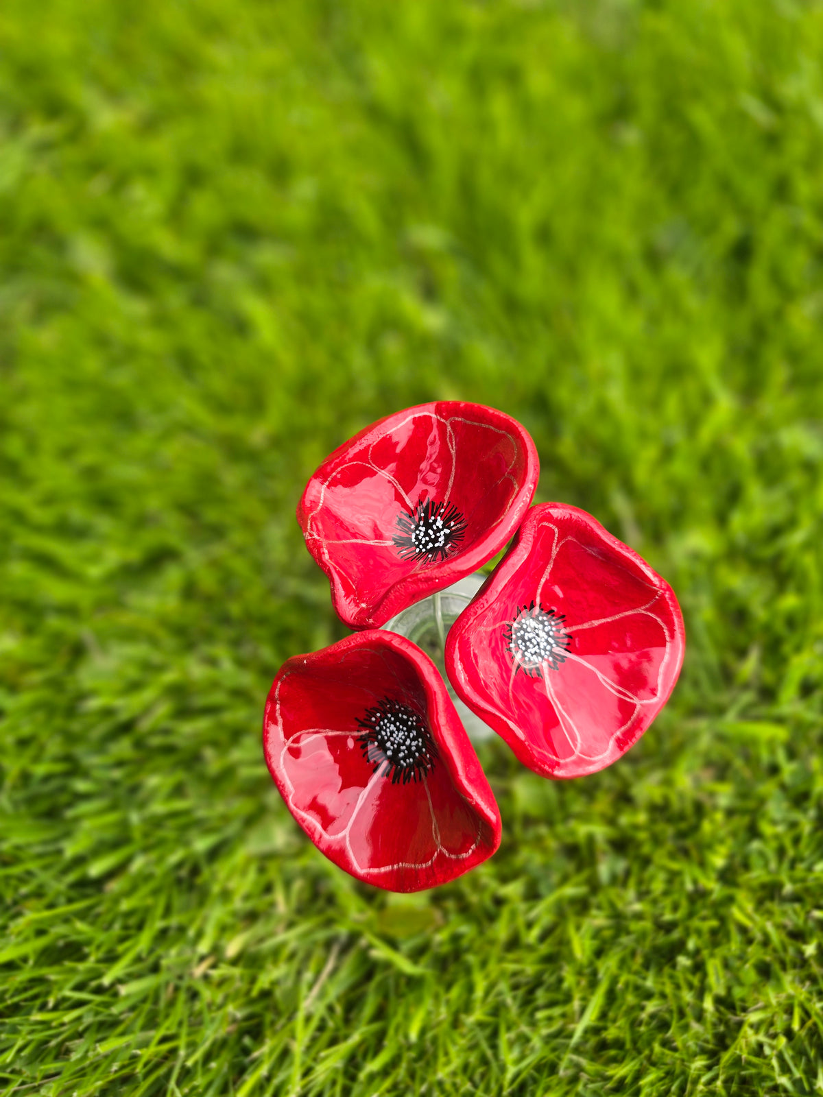 Handmade Trio of Red Poppy in Glass Vase, Everlasting  Flowers, UK made